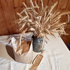 Hofprodukt