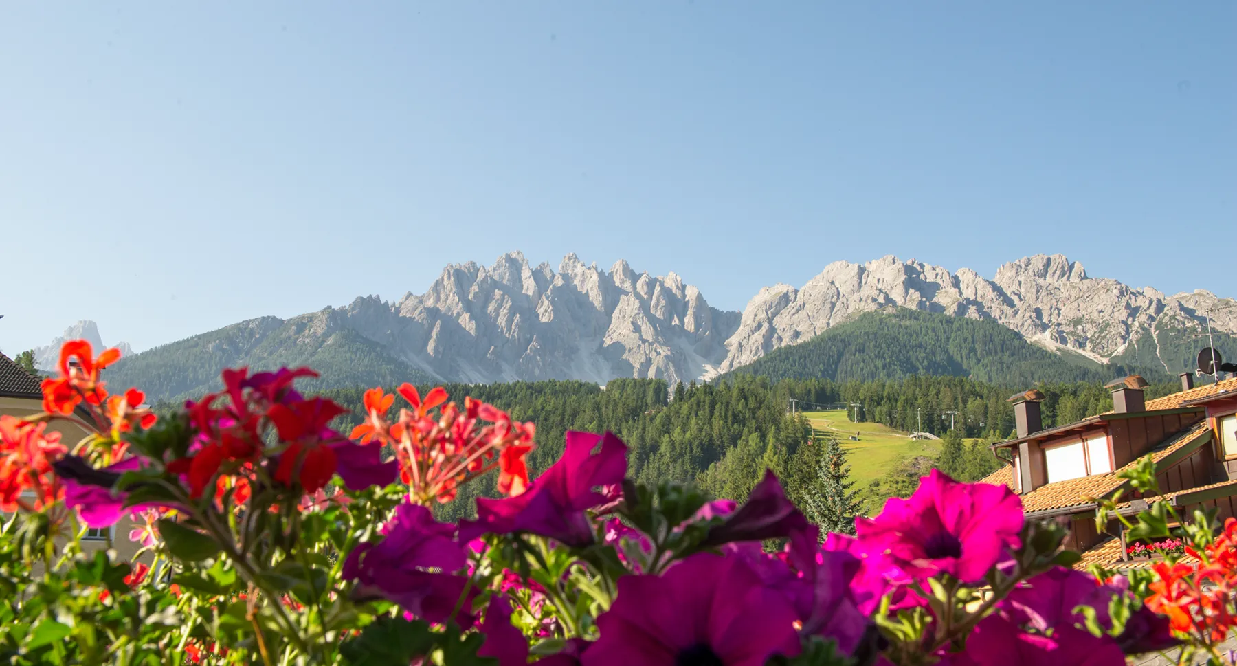 Balkonblumen mit Aussicht auf den Berg Haunold